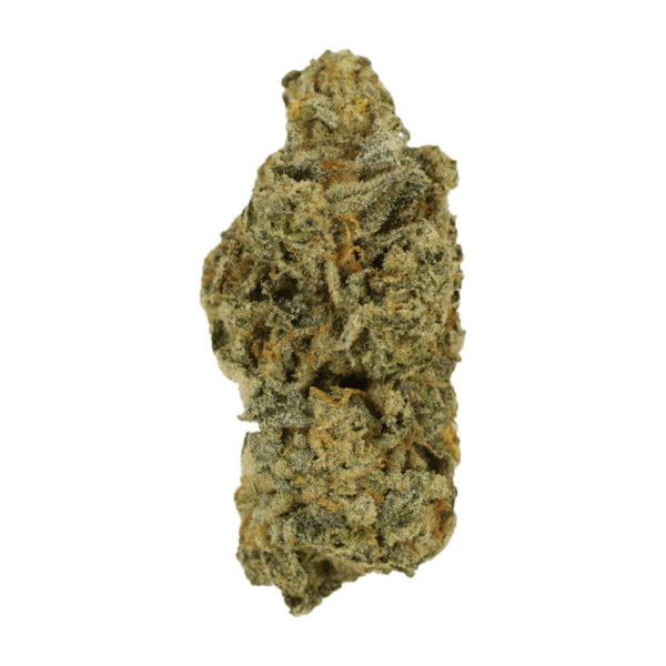 Cinderella 99 | Just Cannabis Canada
