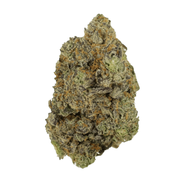 Hash Plant | Just Cannabis Canada