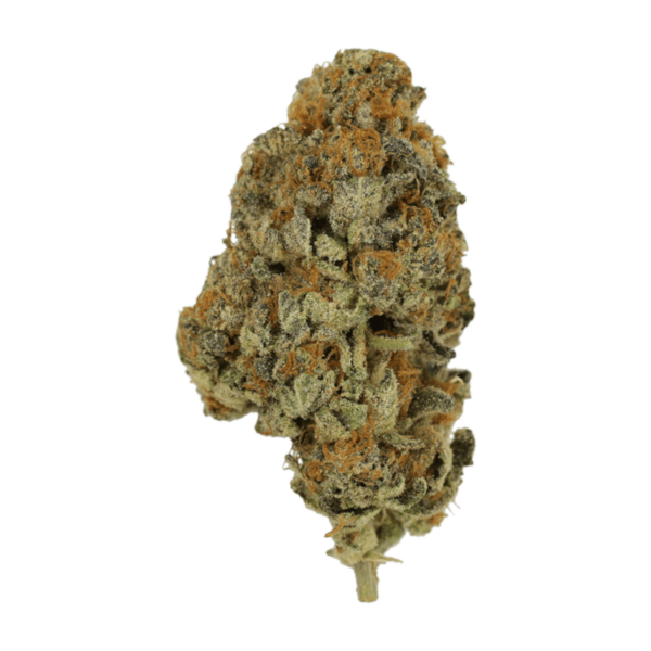 Key Lime Pie | Just Cannabis Canada