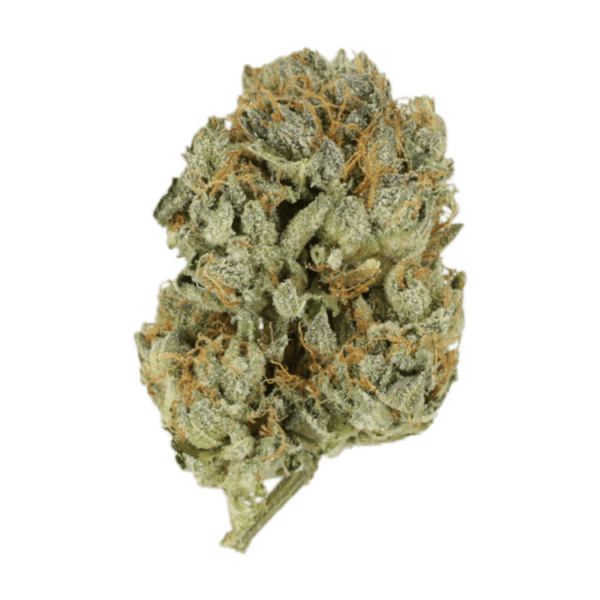 Kashmir Kush | Just Cannabis Canada