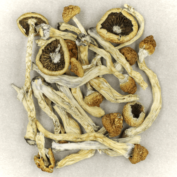 Texas Yellow Cap | Just Cannabis Canada