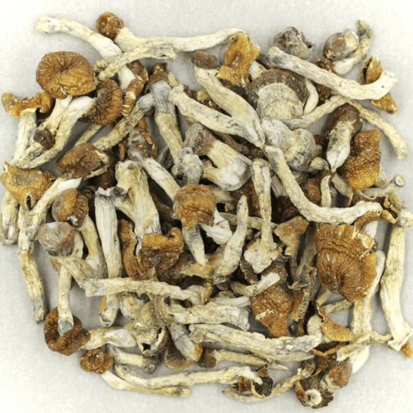 Florida White | Just Cannabis Canada