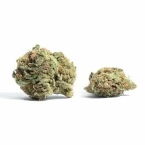 White Truffle (Popcorn) | Just Cannabis Canada