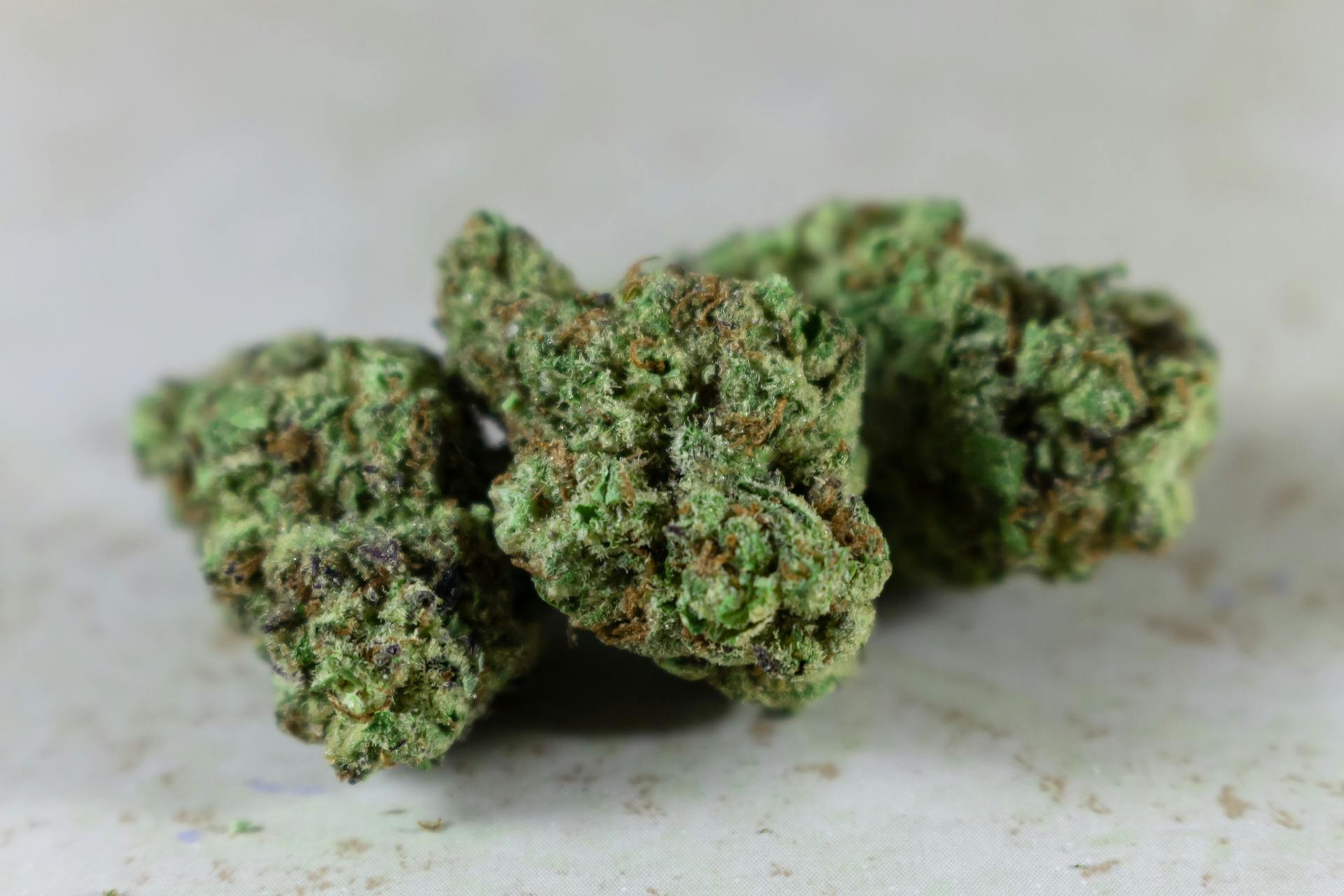 Best Indica Online in Canada | Just Cannabis Canada